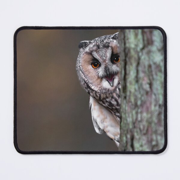 Item preview, Long Eared Owl Screeching designed and sold by RedGrouse.