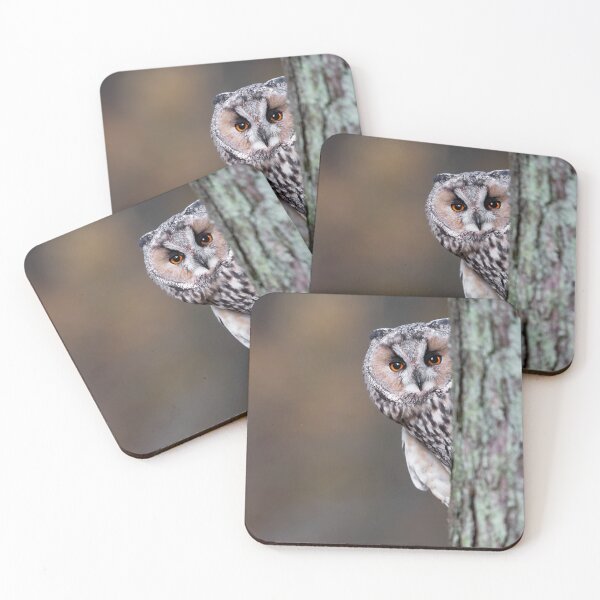 Item preview, Long Eared Owl designed and sold by RedGrouse.