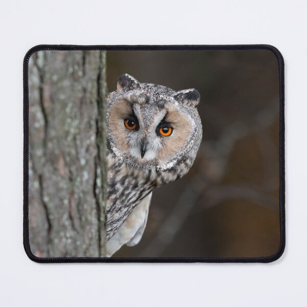 Item preview, Long Eared Owl designed and sold by RedGrouse.