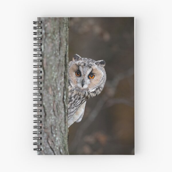 Item preview, Long Eared Owl designed and sold by RedGrouse.