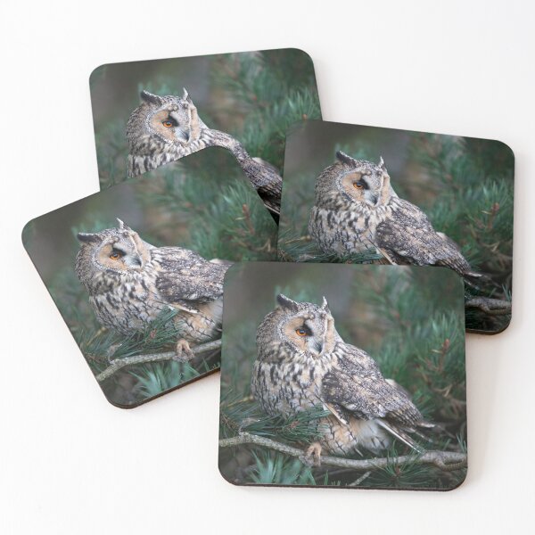Item preview, Long Eared Owl designed and sold by RedGrouse.