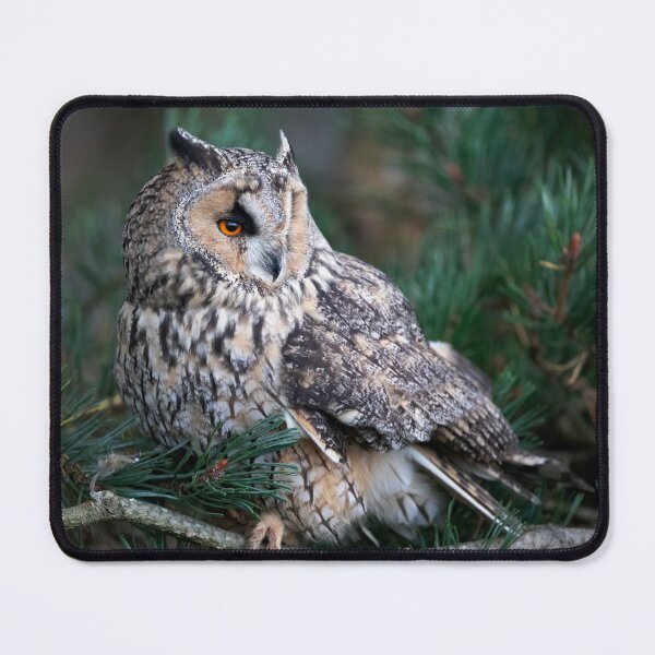 Item preview, Long Eared Owl designed and sold by RedGrouse.