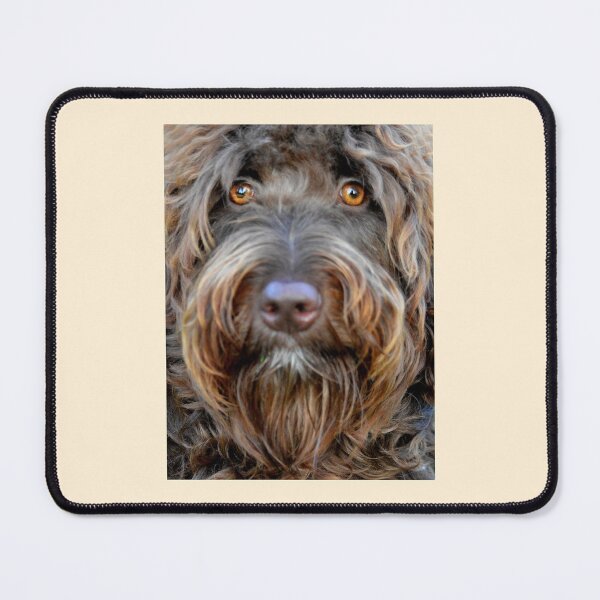 Item preview, Aussie Doodle Portrait designed and sold by Laurie Minor.
