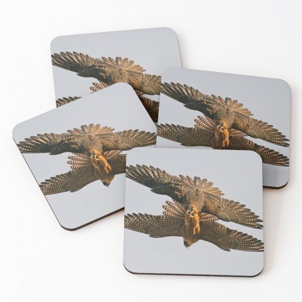 Item preview, Jóvenes del pájaro australiano aficionado designed and sold by Wildpix.