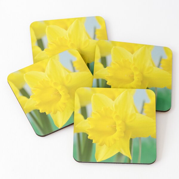 Item preview, Narcissus  'Standard Value'   Division 1  Trumpet Daffodil  designed and sold by Chris Burrows.
