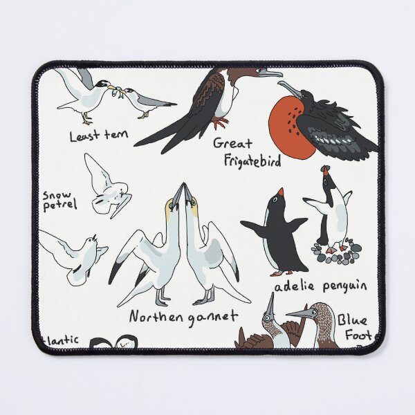 Item preview, courtship rituals in sea birds poster designed and sold by frip ..