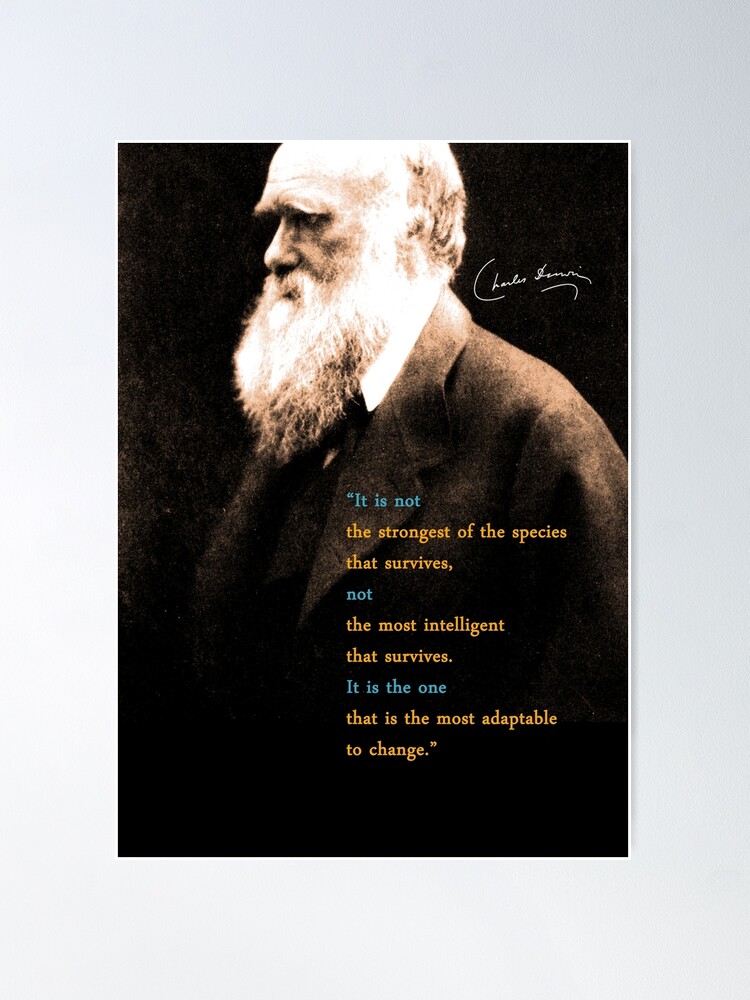 "Charles Darwin Quote 3" Poster By Pahleeloola | Redbubble