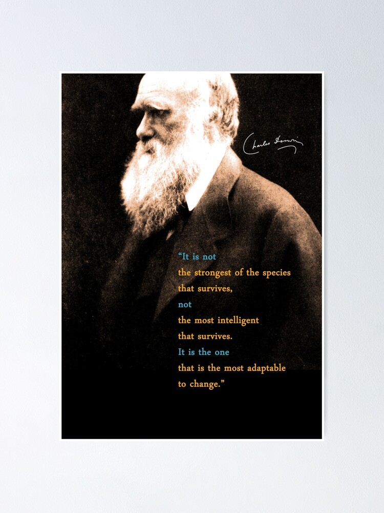 "Charles Darwin Zitat 3" Poster von pahleeloola | Redbubble