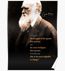 Charles Darwin Quote 3 Poster
