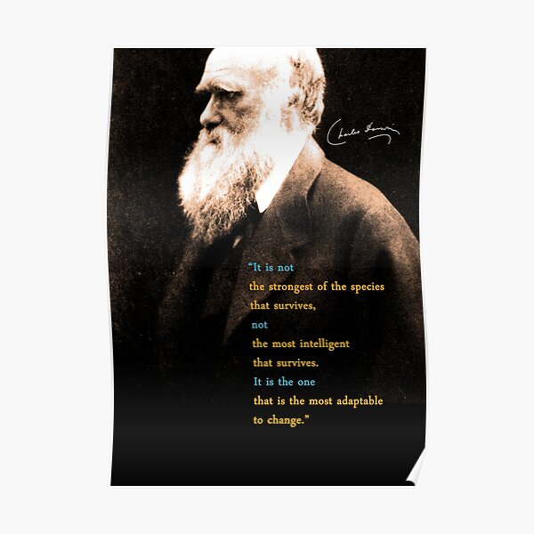 Charles Darwin Quote 3 Poster