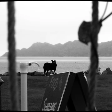 Artwork thumbnail, Watching The Watcher by Elizabeth Austin-Craig