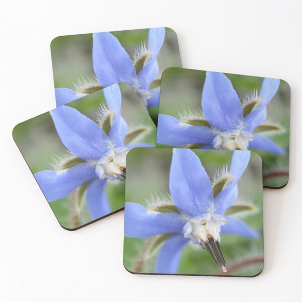 Item preview, Borago officinalis  Borage  designed and sold by Chris Burrows.