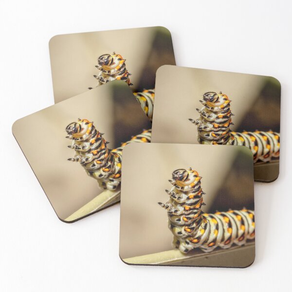 Item preview, Dancing Caterpiller designed and sold by Kay Brewer.