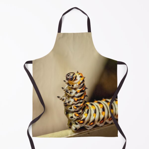 Item preview, Dancing Caterpiller designed and sold by Kay Brewer.