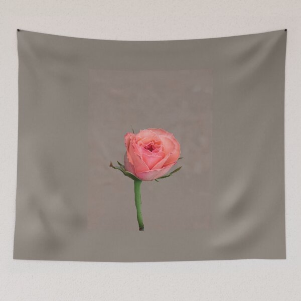 Item preview, A pink rose designed and sold by annasofia.