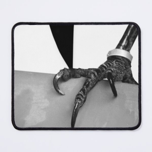 Item preview, Beak and Talons designed and sold by Laurie Minor.
