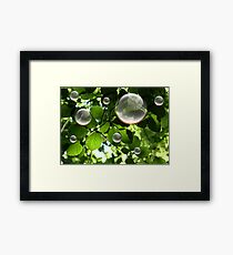 Bulles Framed Print