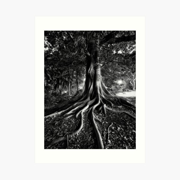Early Evening In The Garden Of Good And Evil Art Print