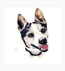 Max Photographic Print