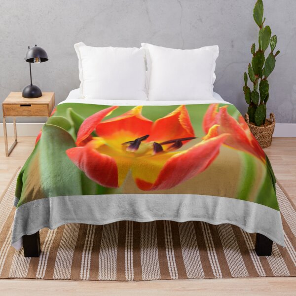 Item preview, Tulipa schrenkii Tulipán misceláneo designed and sold by Chris Burrows.