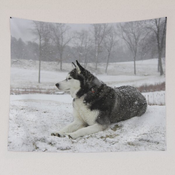 Item preview, Siberian Husky in Heavy Snow  designed and sold by myhuskymax.