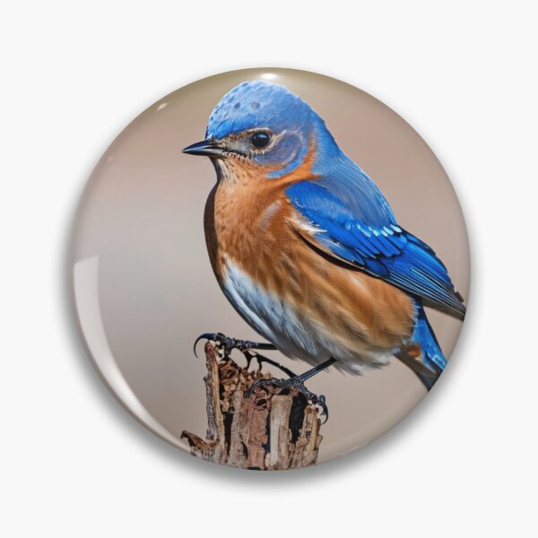 Artikelvorschau, Bluebird entworfen und verkauft von LittleSparrow12.