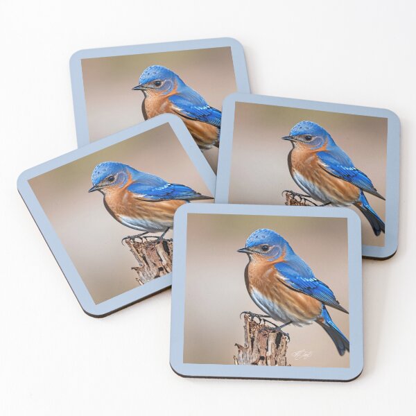 Artikelvorschau, Bluebird entworfen und verkauft von LittleSparrow12.