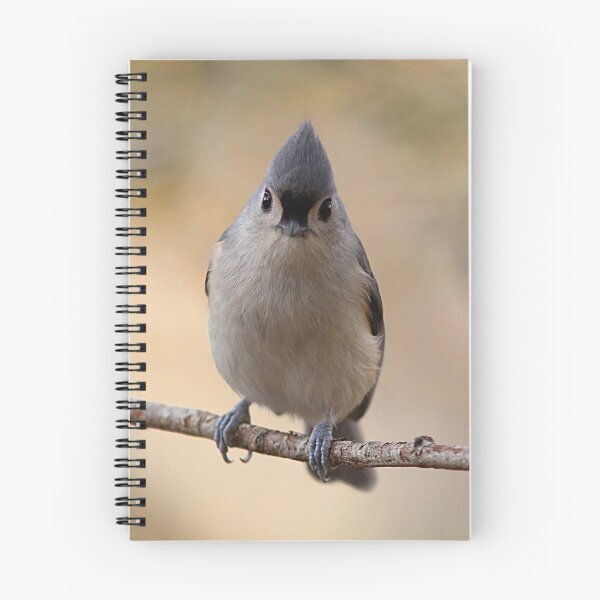 Item preview, Tufted Titmouse straight ahead designed and sold by Linda Crockett.
