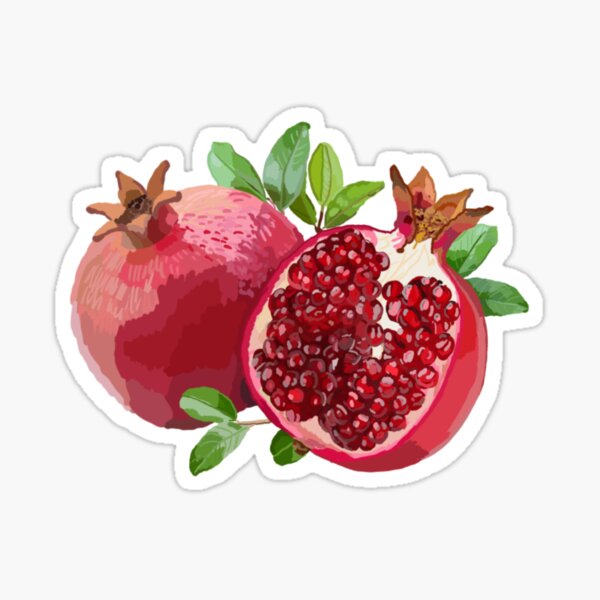 Item preview, Pomegranate  designed and sold by AbigailHerman.