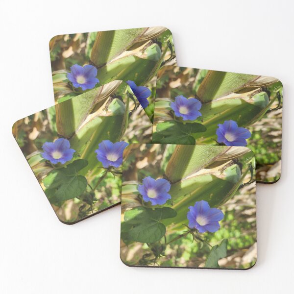 Item preview, Cornflower designed and sold by Michewilt384.