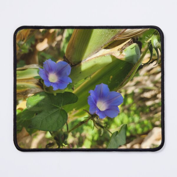 Item preview, Cornflower designed and sold by Michewilt384.