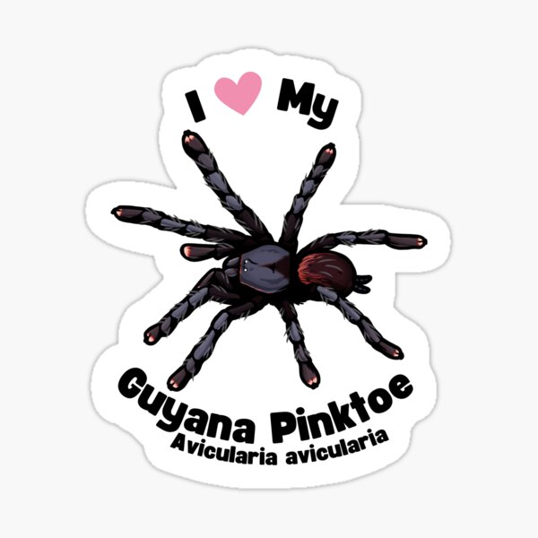 Item preview, I ❤️ My Tarantula: Avicularia avicularia designed and sold by VexisssOfficial.