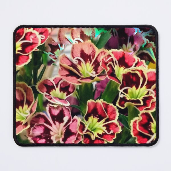 Item preview, Vibrant Red Amaryllis Flowers Photo designed and sold by BellaArtsy.