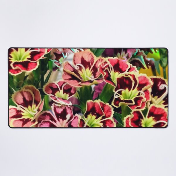 Item preview, Vibrant Red Amaryllis Flowers Photo designed and sold by BellaArtsy.