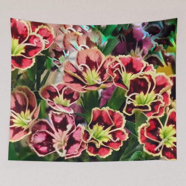 Item preview, Vibrant Red Amaryllis Flowers Photo  designed and sold by BellaArtsy.