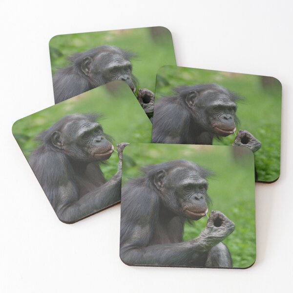 Item preview, Bonobo Ape Portrait designed and sold by rawshutterbug.