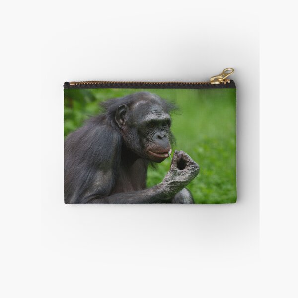 Item preview, Bonobo Ape Portrait designed and sold by rawshutterbug.