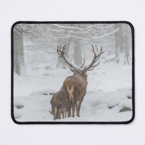Item preview, Capital red deer in the driving snow designed and sold by Ingo Gerlach.