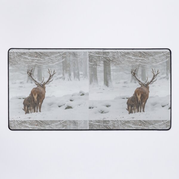 Item preview, Capital red deer in the driving snow designed and sold by Ingo Gerlach.