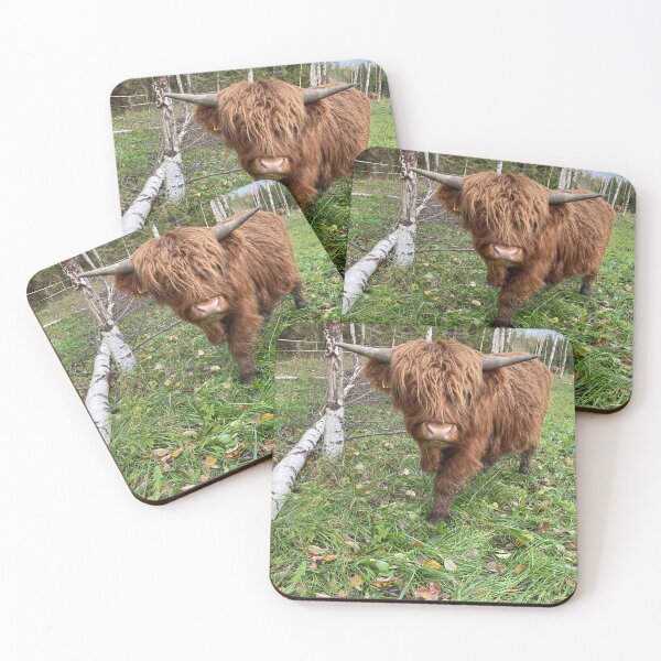 Item preview, Scottish Highland Cattle Bull 4612 designed and sold by SaarelaHighland.