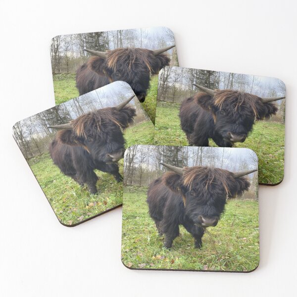 Item preview, Scottish Highland Cattle Bull 4613 designed and sold by SaarelaHighland.