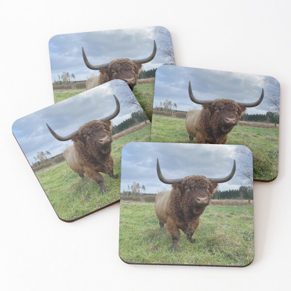 Item preview, Scottish Highland Cattle Bull 4614 designed and sold by SaarelaHighland.