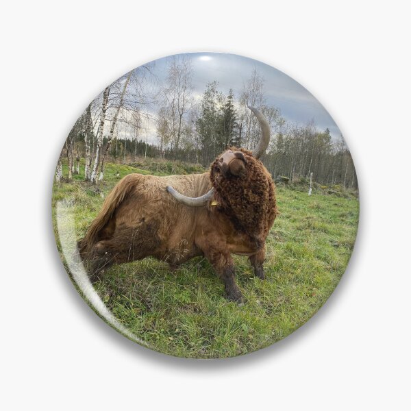 Item preview, Scottish Highland Cattle Bull 4616 designed and sold by SaarelaHighland.