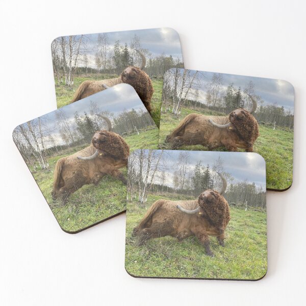 Item preview, Scottish Highland Cattle Bull 4616 designed and sold by SaarelaHighland.