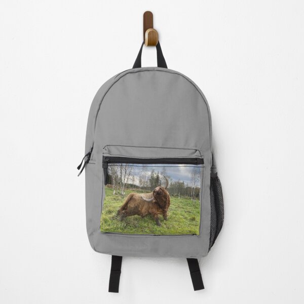 Item preview, Scottish Highland Cattle Bull 4616 designed and sold by SaarelaHighland.