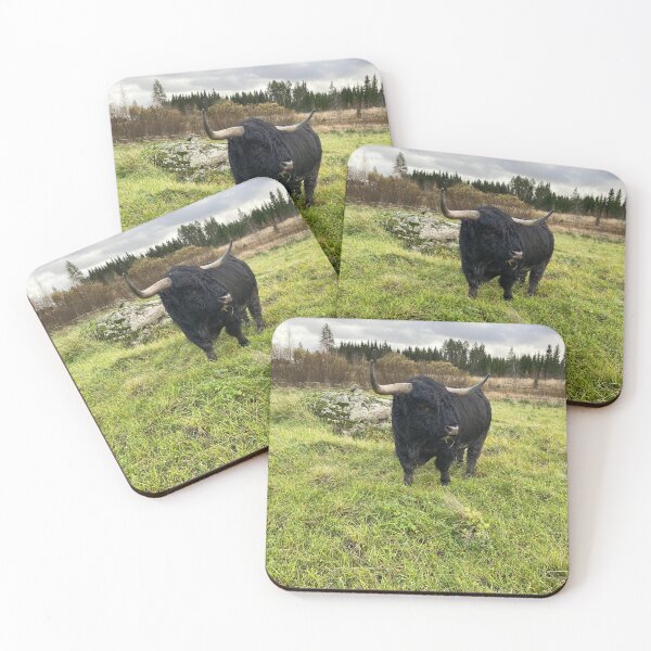 Item preview, Scottish Highland Cattle Bull 4617 designed and sold by SaarelaHighland.
