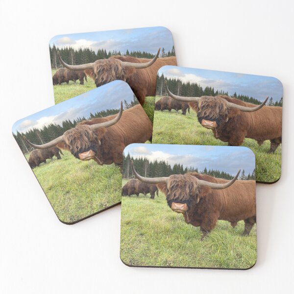 Item preview, Scottish Highland Cattle Bull 4618 designed and sold by SaarelaHighland.