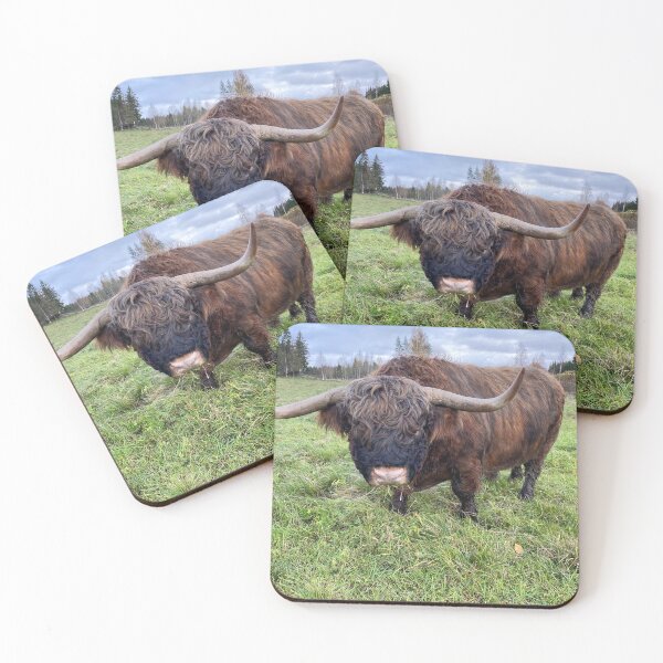 Item preview, Scottish Highland Cattle Bull 4619 designed and sold by SaarelaHighland.