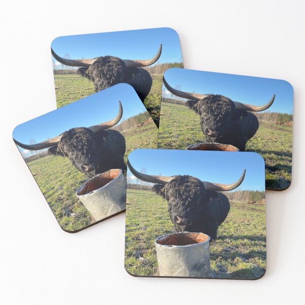 Item preview, Scottish Highland Cattle Bull 4624 designed and sold by SaarelaHighland.