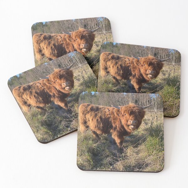 Item preview, Scottish Highland Cattle Bull 4625 designed and sold by SaarelaHighland.